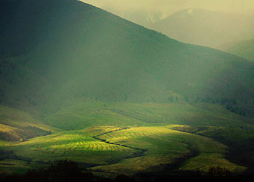 网络ddos攻击软件